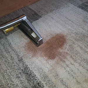 Carpet Stain Removal