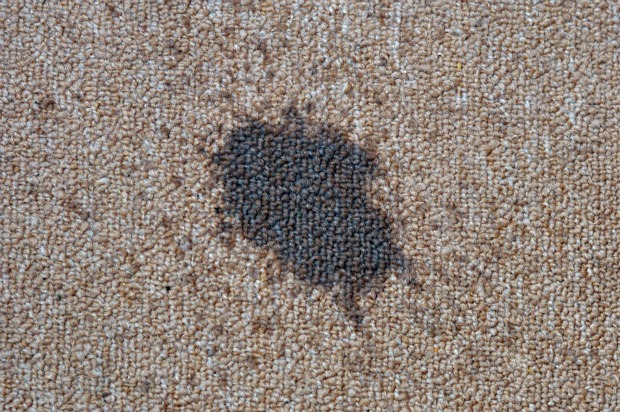How to get Oil out of a Carpet Deluxe Cleaning